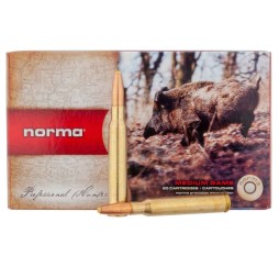 Büchsenmunition 7x64 PPDC 11,0g/170grs. Norma